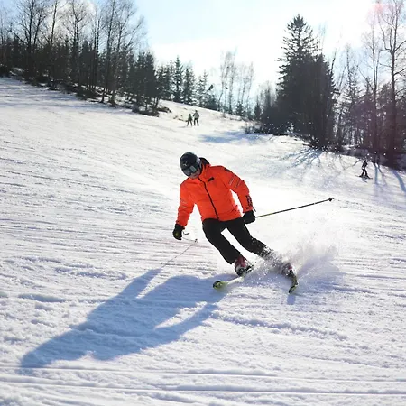Baronka Domek alpejski
